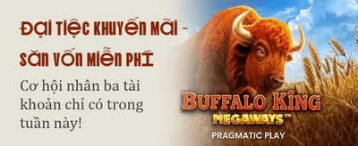 Đại lý Kuvip